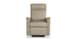 Leather Lift Recliner