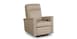 Leather Lift Recliner