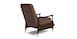 Leather Recliner