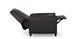 Leather Recliner