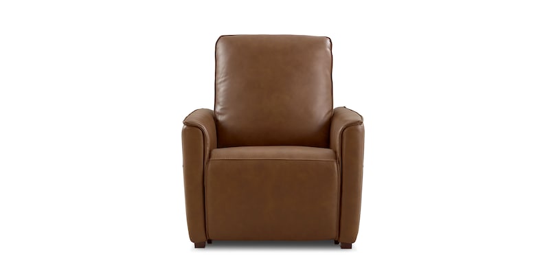 POWER RECLINER image number 0