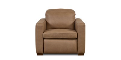 Caswell Leather Power Recliner