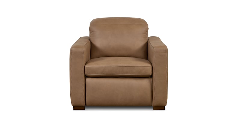 Power Recliner image number 0