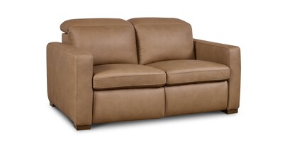Caswell Leather Power Reclining Loveseat
