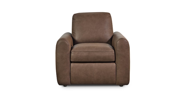 Power Walsaver Recliner image number 0