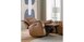 Power Walsaver Recliner