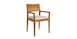 Clear Maple Arm Chair