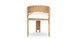 Catalina Woven Barrel Back Accent Chair