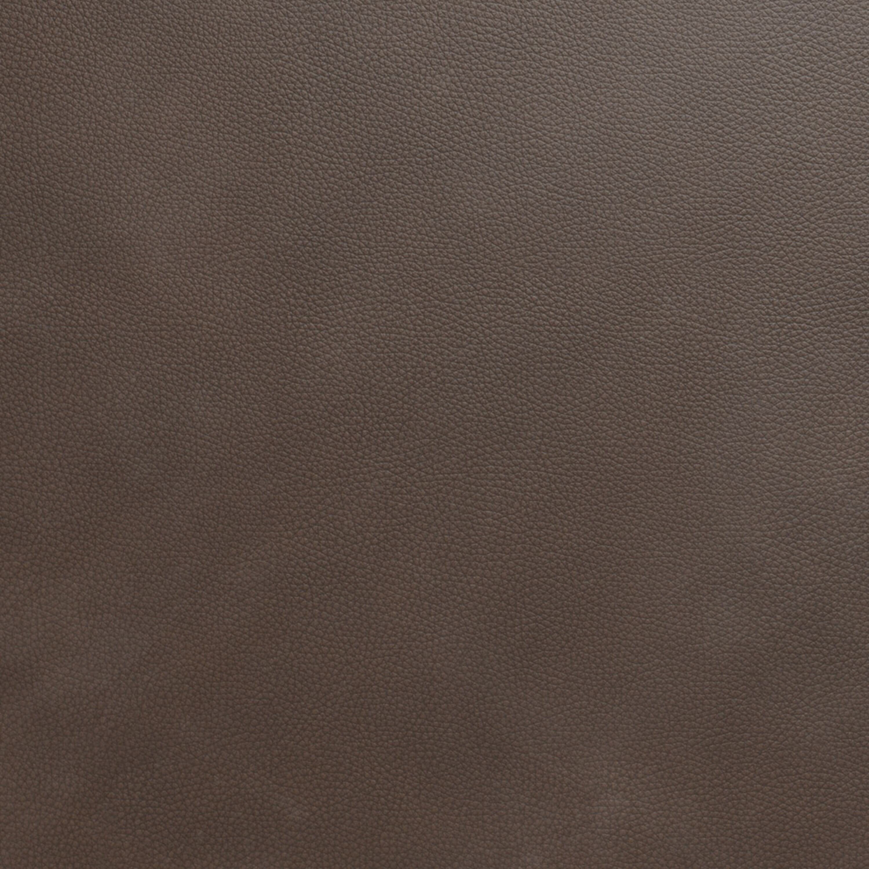 Browse Bassett's Leathers Online Order 10 Free Fabric & Leather