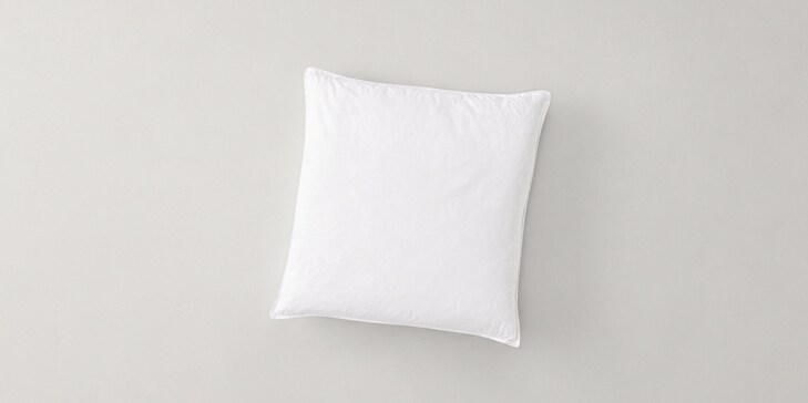 Down Square Pillow Insert 20 x 20 image number 0