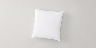 Down Square Pillow Insert 22 x 22