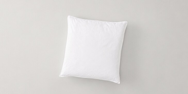 Down Square Pillow Insert 24 x 24 image number 0
