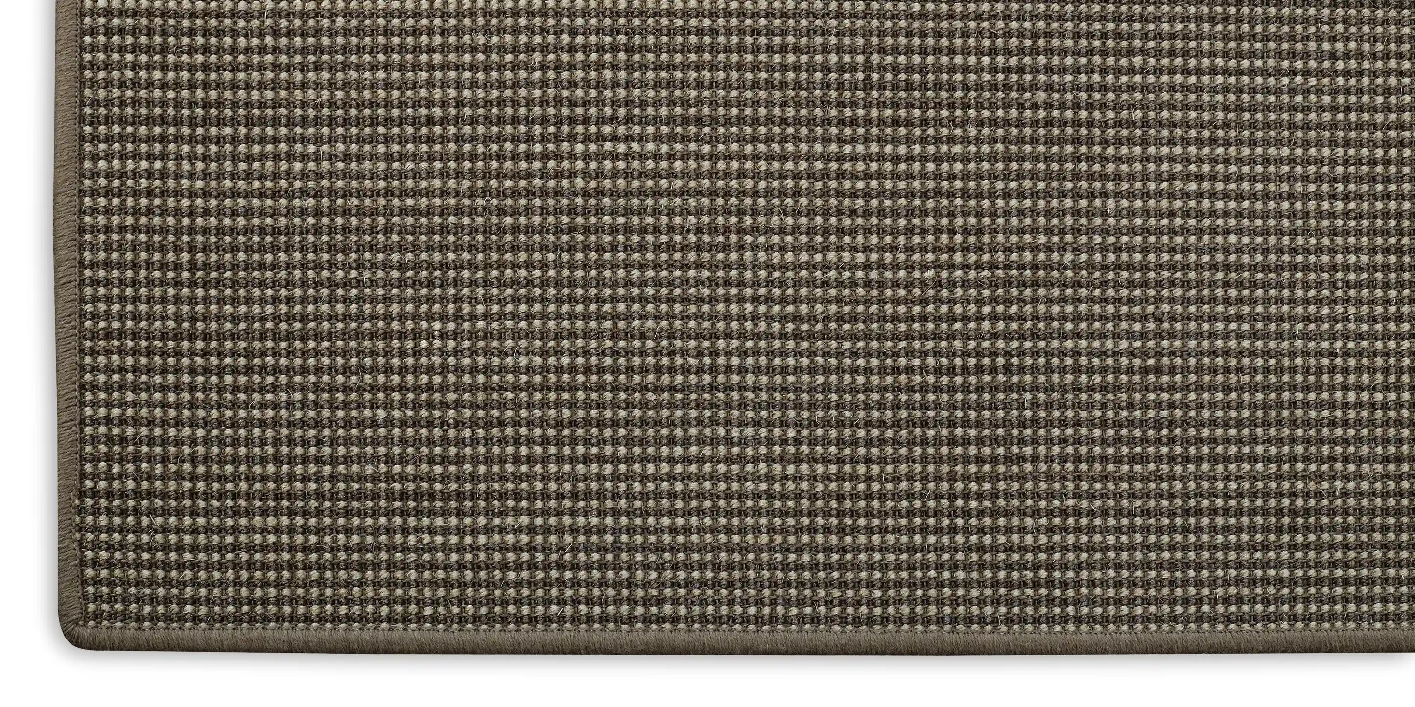 CAMEO STRIPE 226 CORONA image number 2