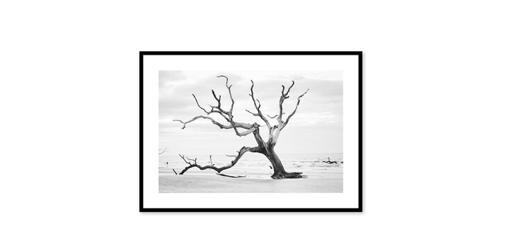 BONEYARD 4 image number 0