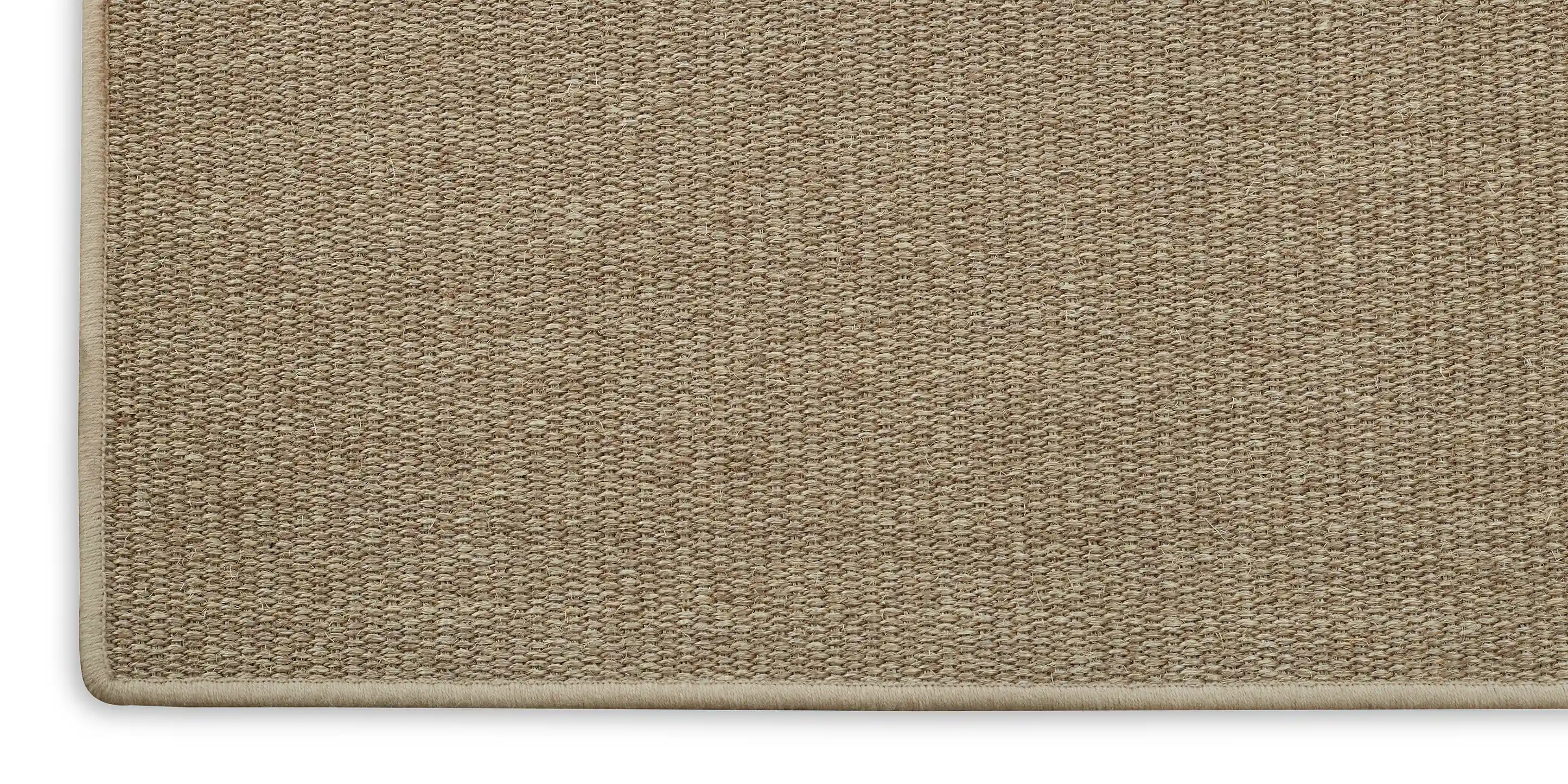 Omni 213 Cruz image number 2