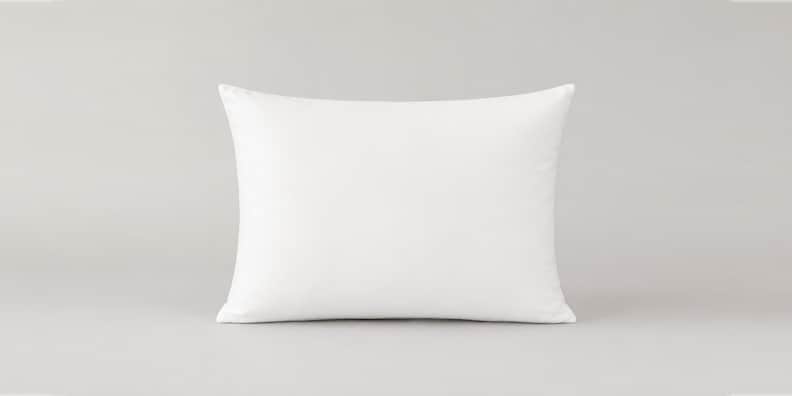 Premium Down Alternative Pillow Insert Queen image number 0